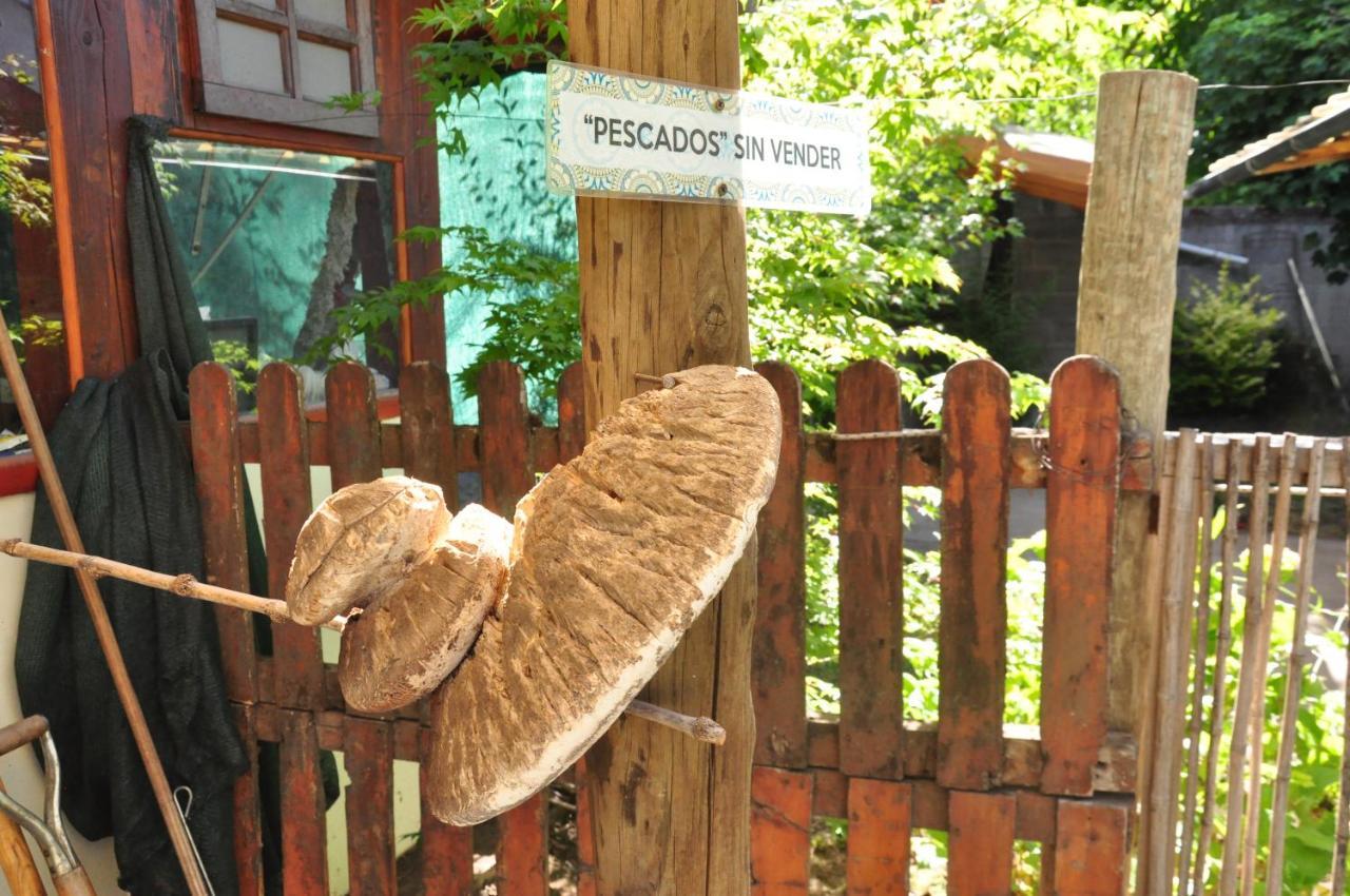 La Casa Del Arbol - Hostel El Bolsón エクステリア 写真