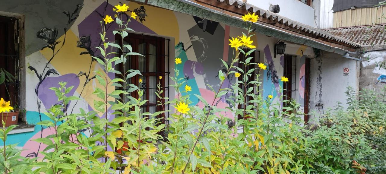 La Casa Del Arbol - Hostel El Bolsón エクステリア 写真